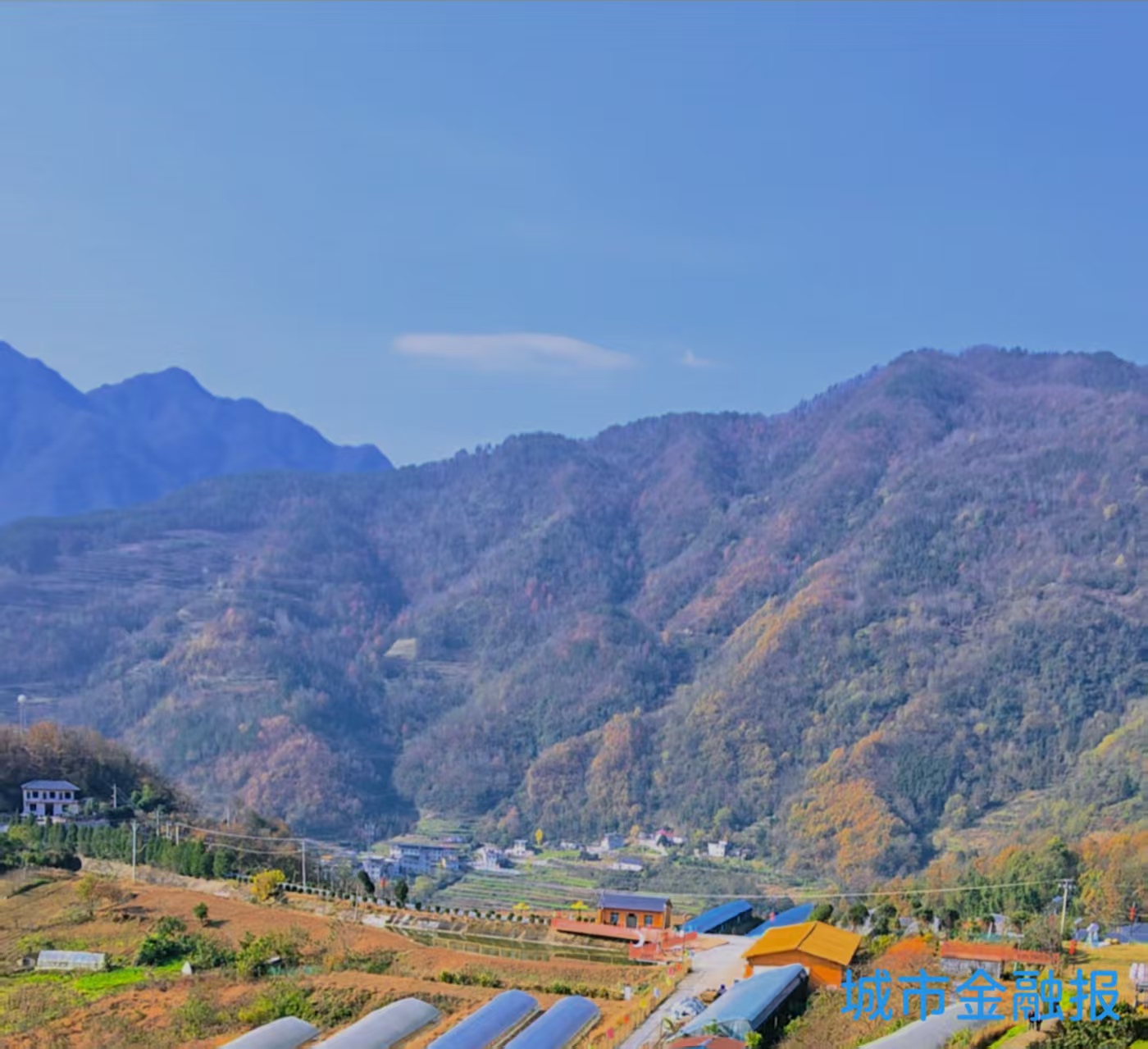 20251201223212384-35-ad843.jpg 20251201223212384-35-ad843.jpg