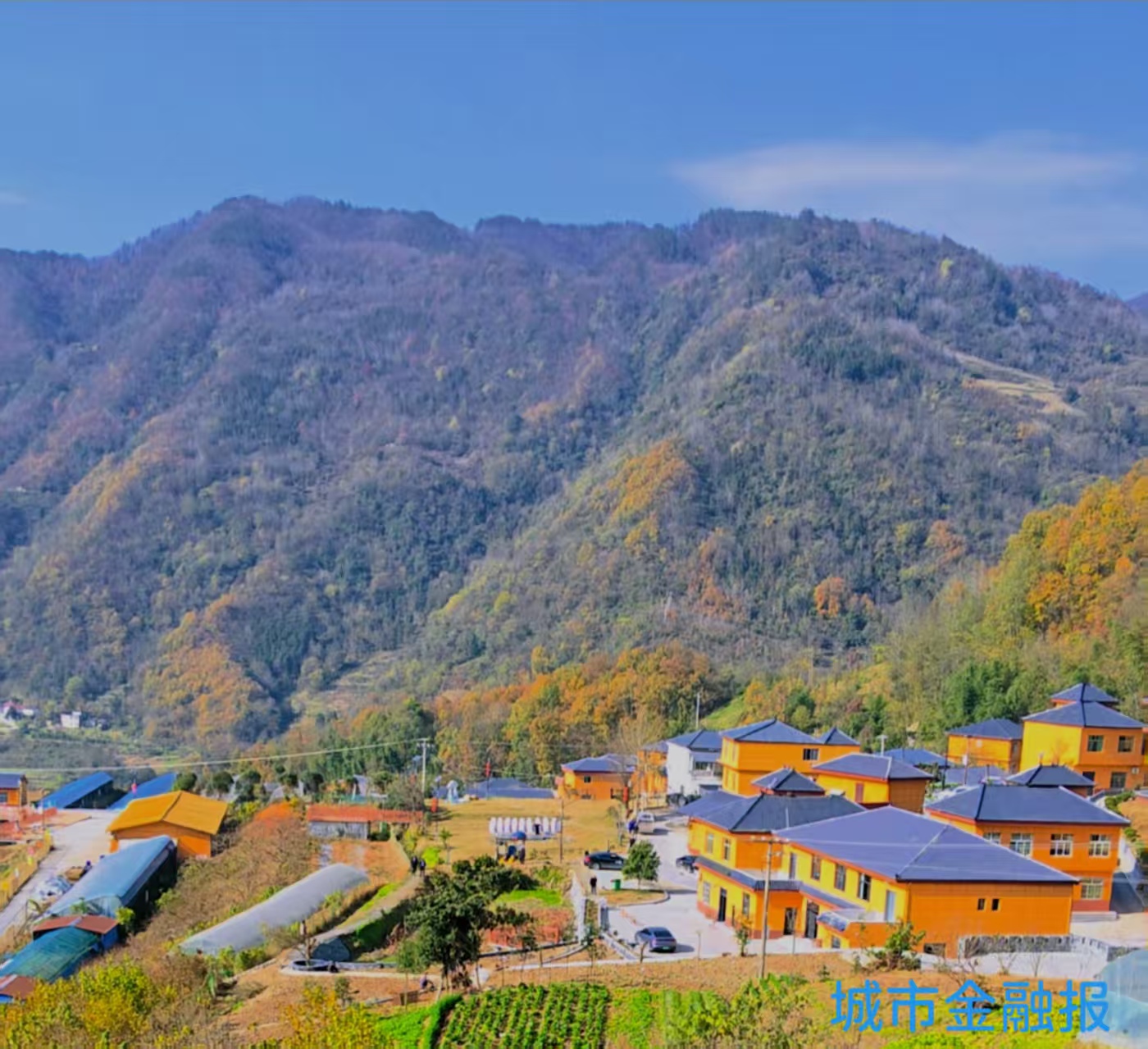 20251201223307942-9-d5af8.jpg 20251201223307942-9-d5af8.jpg