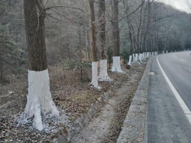 2b85944fc4dc090294465f2b149402e6