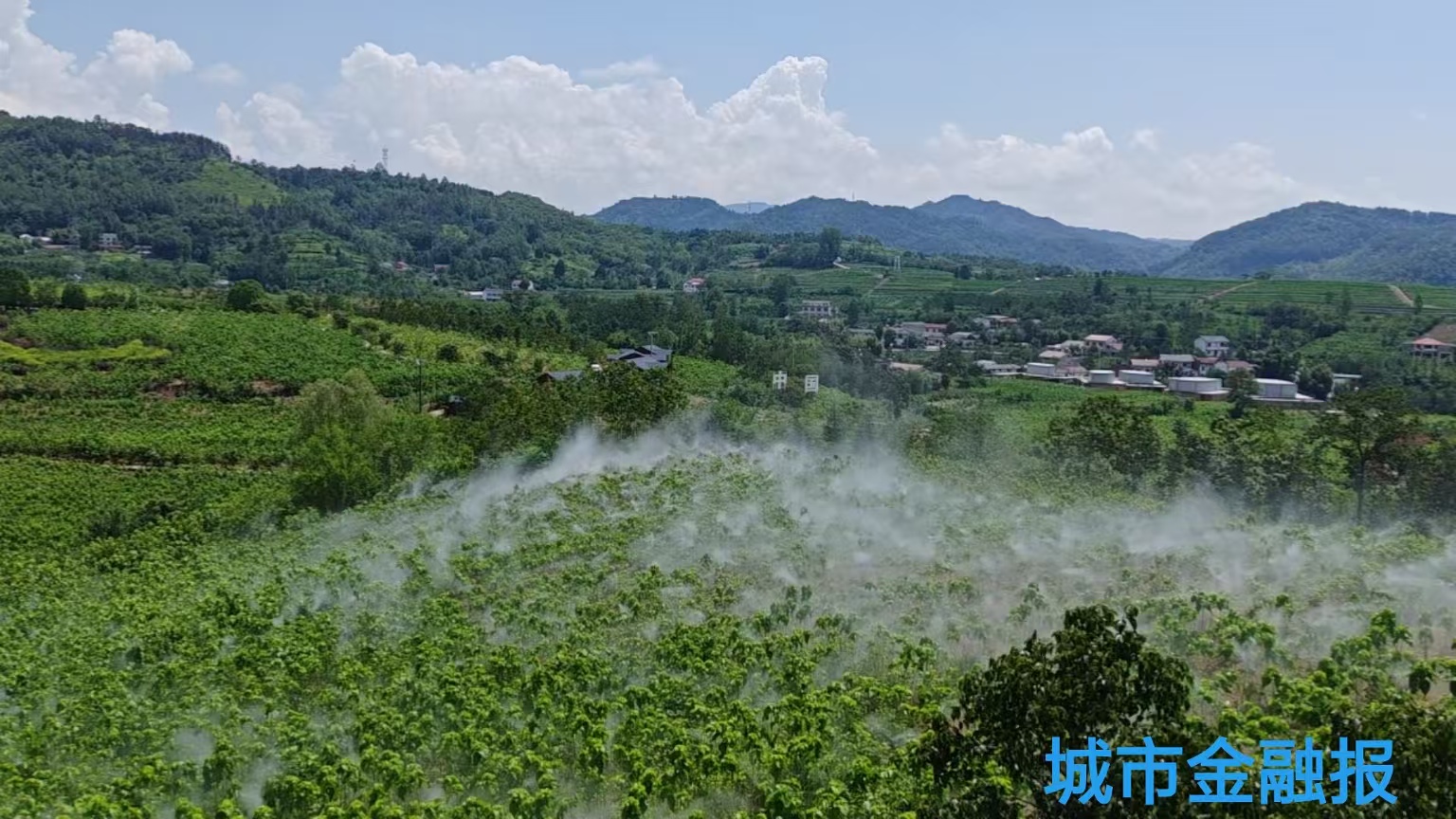 20251203184838650-99-d5ea9.jpg 20251203184838650-99-d5ea9.jpg