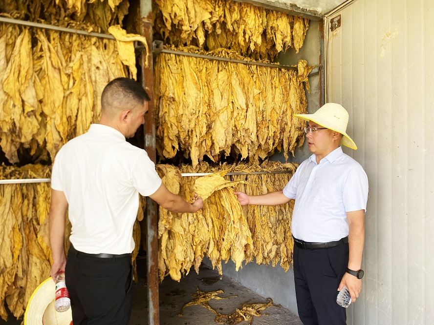 20251214124156367-22-4aaf5.jpg 20251214124156367-22-4aaf5.jpg