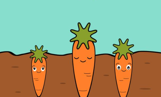 一个萝卜一个坑,萝卜拔了坑还在是什么意思-百度经验