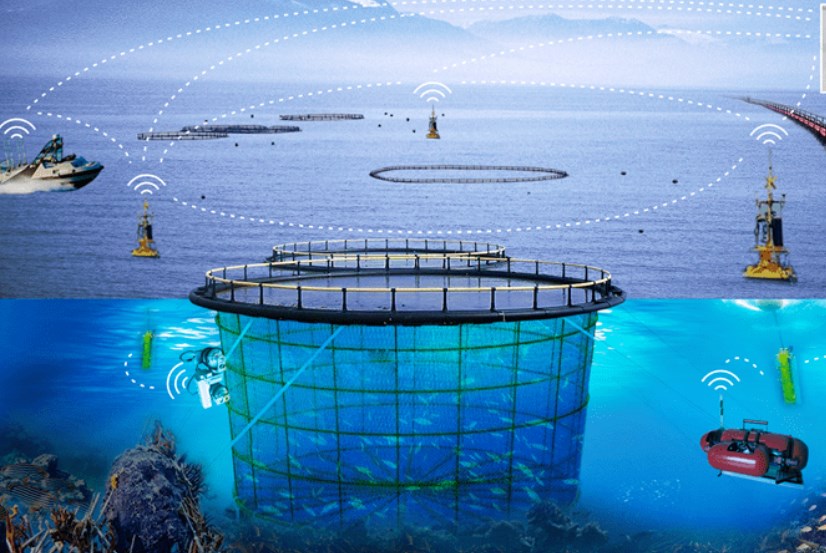 智慧渔业：利用物联网和大数据实现渔业生产的智能化_北斗产业资讯平台-千寻位置