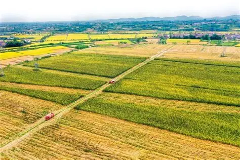 这“丰”景，太美了！_澎湃号·政务_澎湃新闻-The Paper