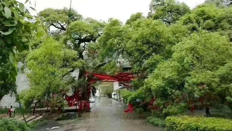 20251225194611593-26-1d25b.jpg 20251225194611593-26-1d25b.jpg