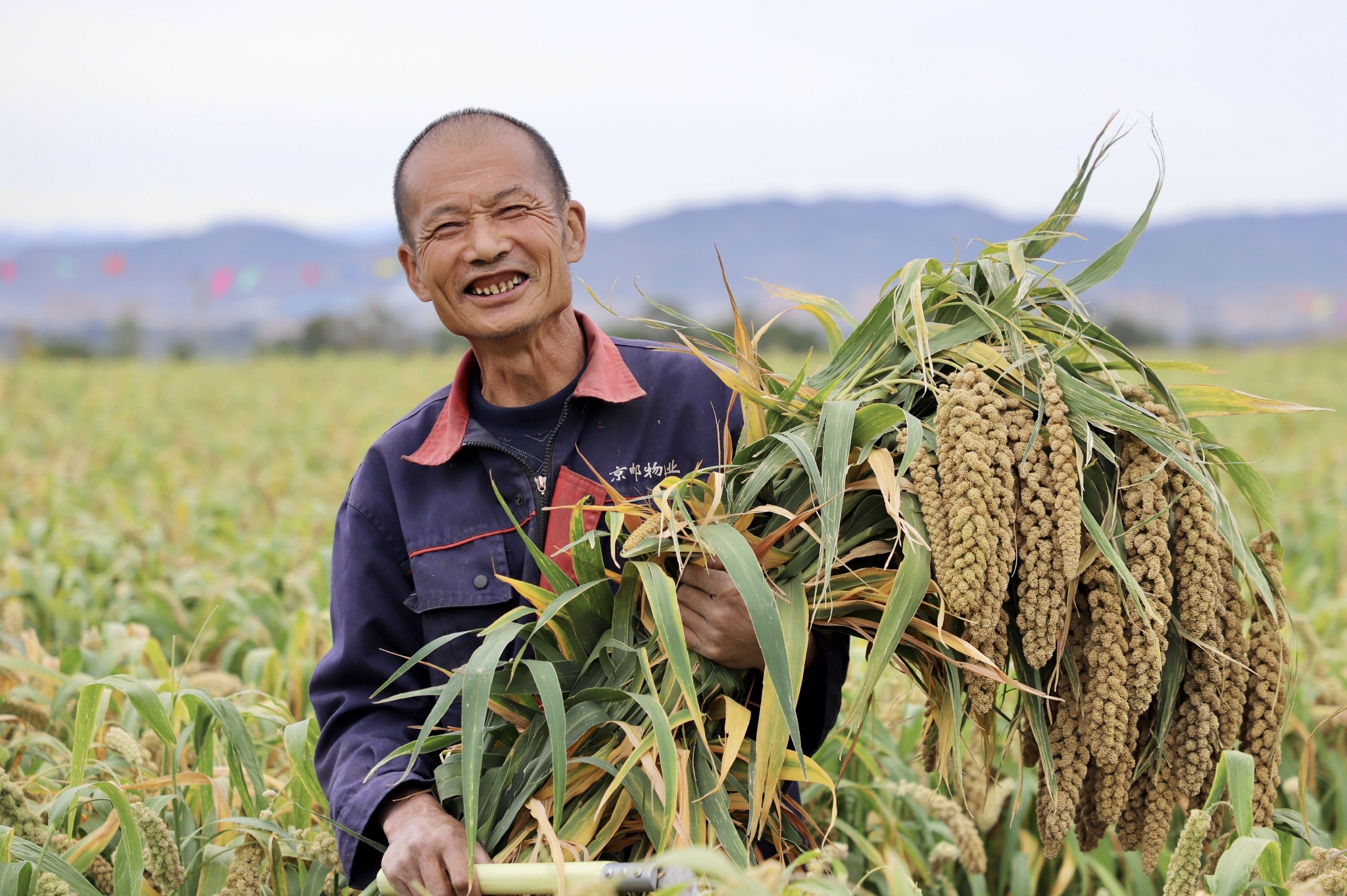 中国农民丰收节开幕 稻黍瓜果中同庆丰收_手机新浪网