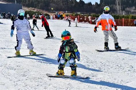 奋进新征程 建功新时代•非凡十年丨群众冰雪运动在大江南北蓬勃开展_新体育网