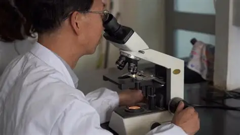 新华视点｜尕日塘秦刻石的实证与文明解码-新华网