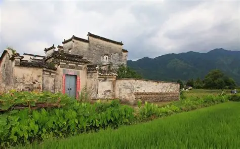 重返大地：是重建生活，也是走进乌托邦