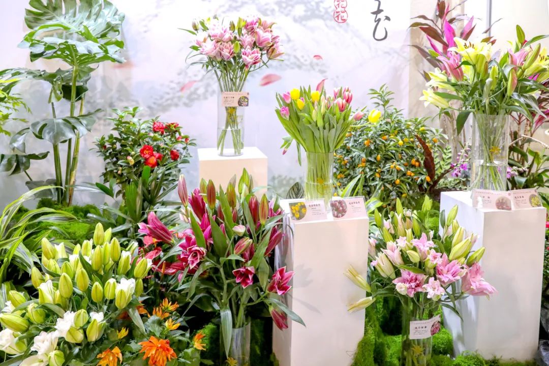 2025北京家庭园艺嘉年华暨年宵名花进北京活动正式启动-京·花果蜜-北京市园林绿化局（首都绿化委员会办公室）