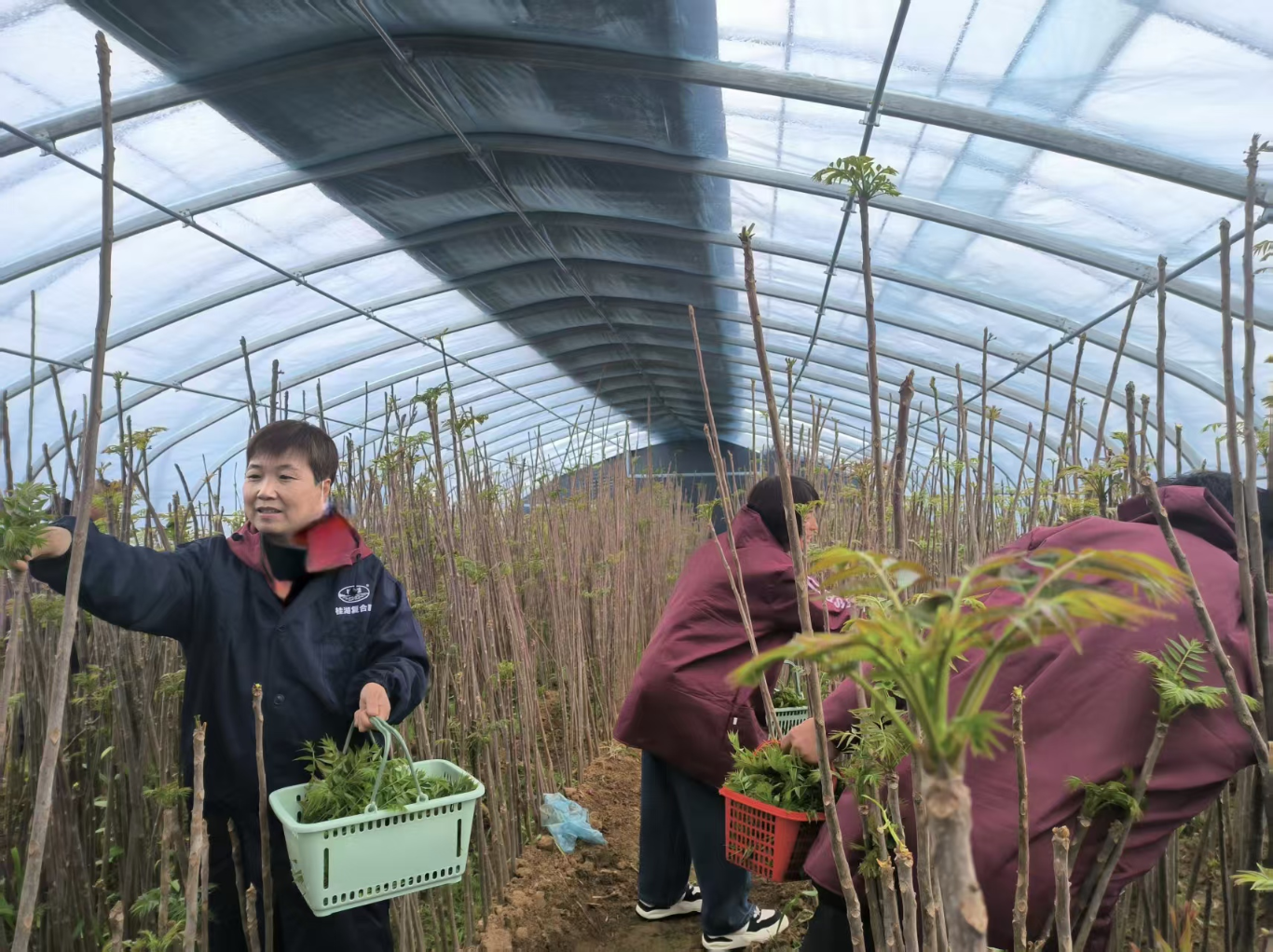 20260127132928870-80-3804f.png_scale.png 20260127132928870-80-3804f.png_scale.png