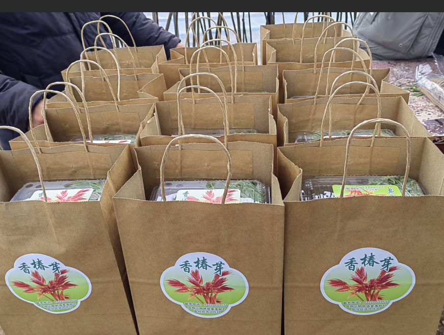 20260127133227543-79-226f9.png 20260127133227543-79-226f9.png