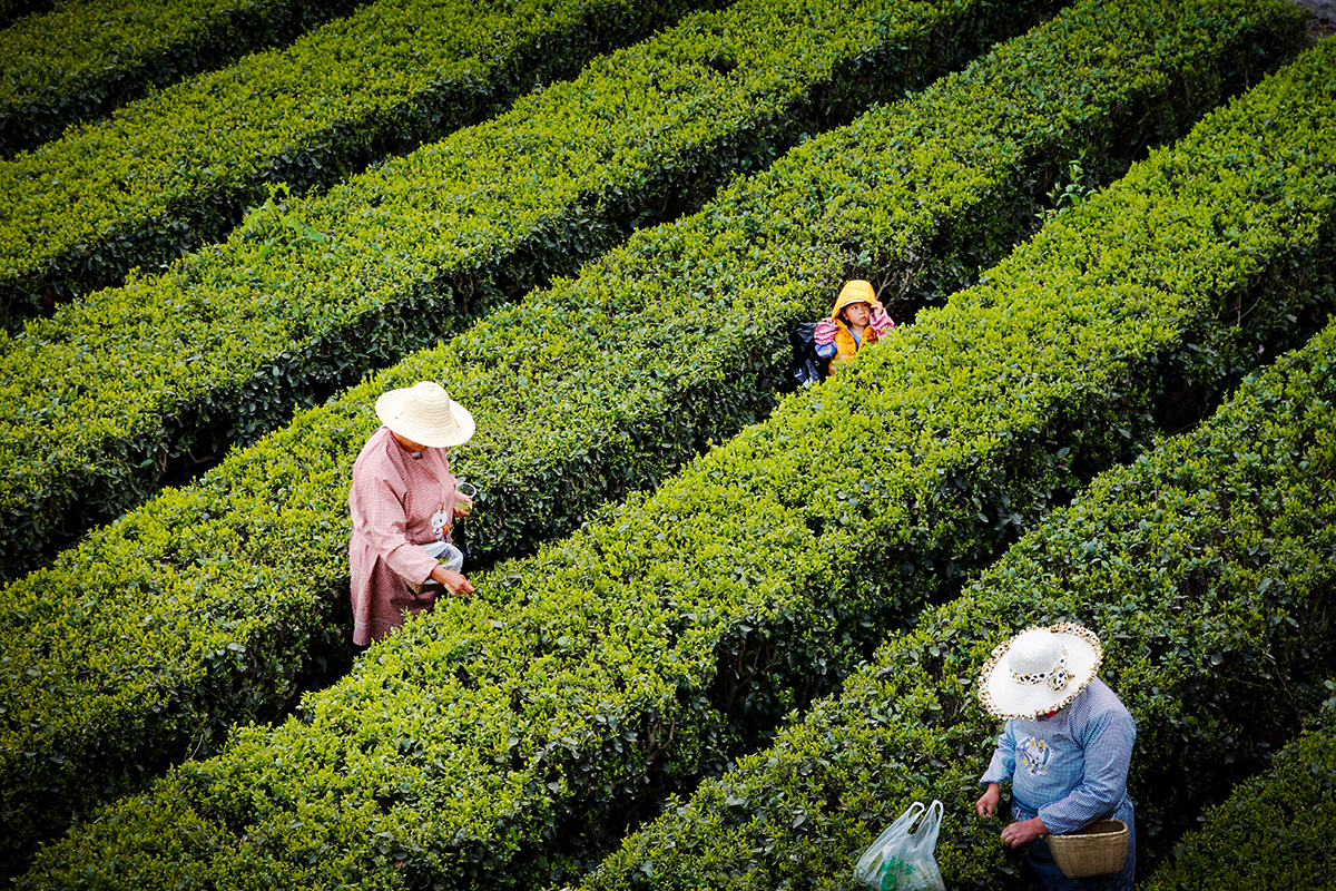 20260202115114202-82-fd9ea.jpg 20260202115114202-82-fd9ea.jpg