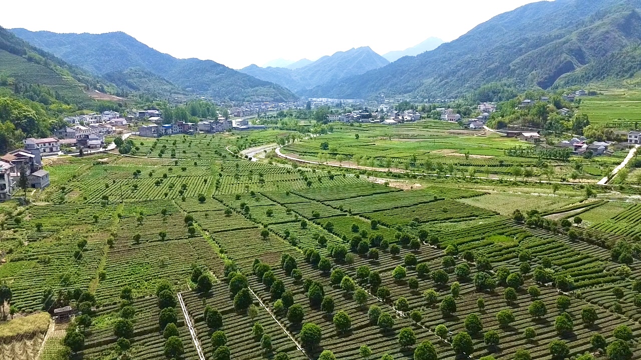 20260202215104460-7-b7dd8.jpg 20260202215104460-7-b7dd8.jpg