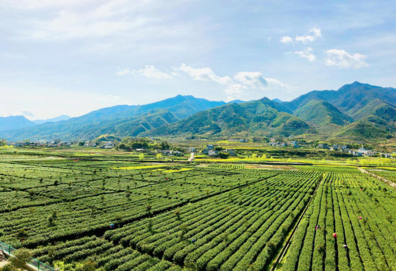 20260202215154780-89-6cbc8.png 20260202215154780-89-6cbc8.png