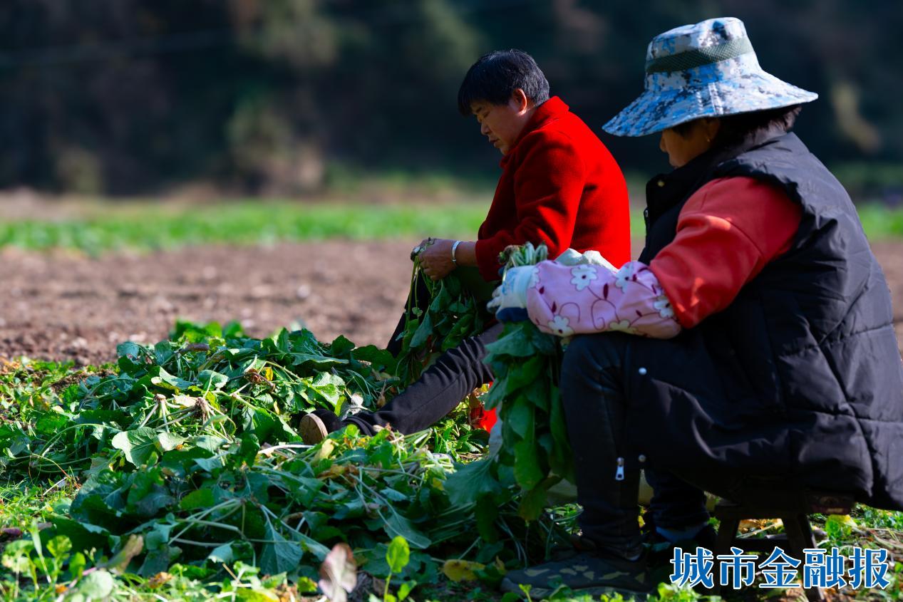 微信图片_20251210183953_638_83