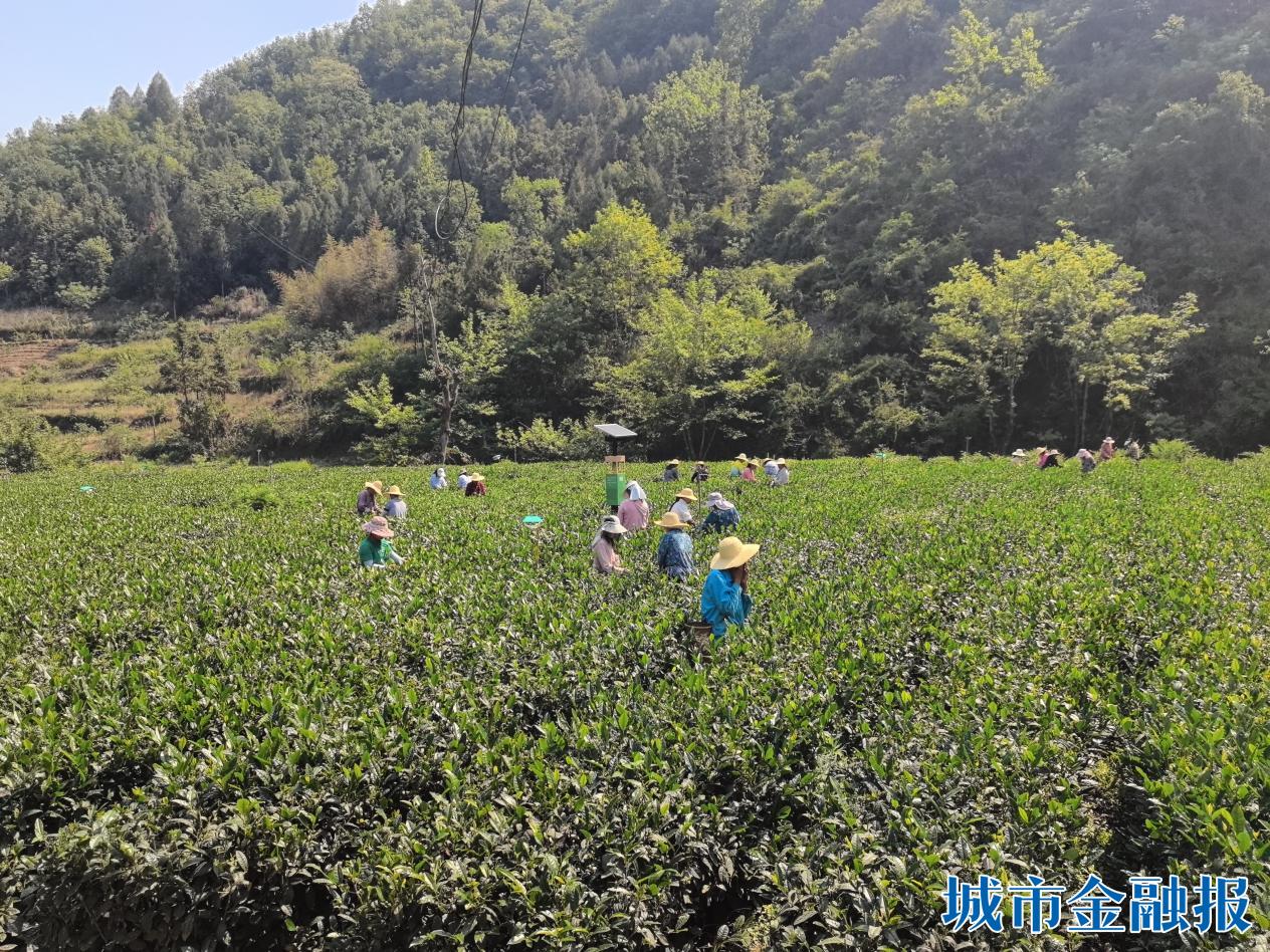 11f644be7d9e78befaad7391932ae2d