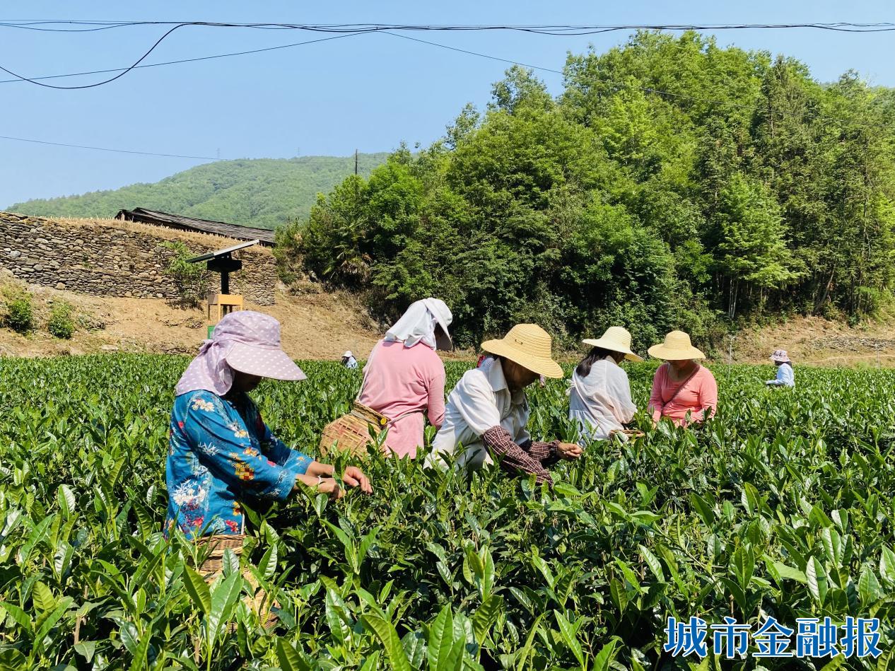 41492f97a8f9e39b3462134d0c84e15