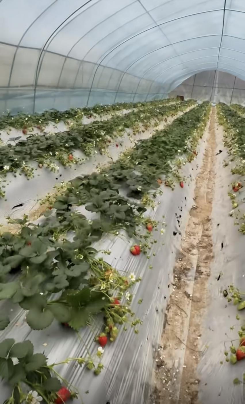 微信图片_20260130150824