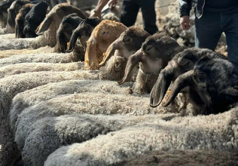 cm1673846909_34801_3b50a7e0930d79c95f1943a81b3877561c57024f_6.html_att5