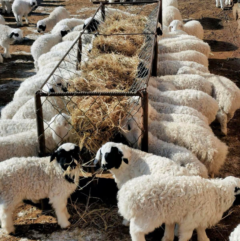 cm1673846909_34801_3b50a7e0930d79c95f1943a81b3877561c57024f_6.html_att4