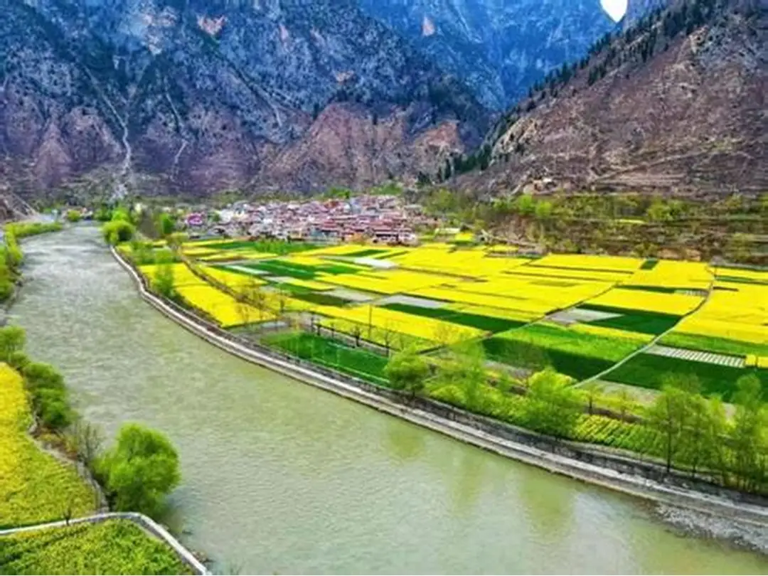 山水林田湖草沙大治理 生态环境大优化丨舟曲：筑牢高质量绿色屏障-舟曲县人民政府