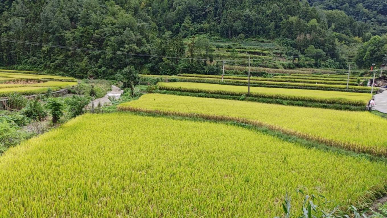 20260221121322280-37-fc94f.jpg_scale.jpg 20260221121322280-37-fc94f.jpg_scale.jpg