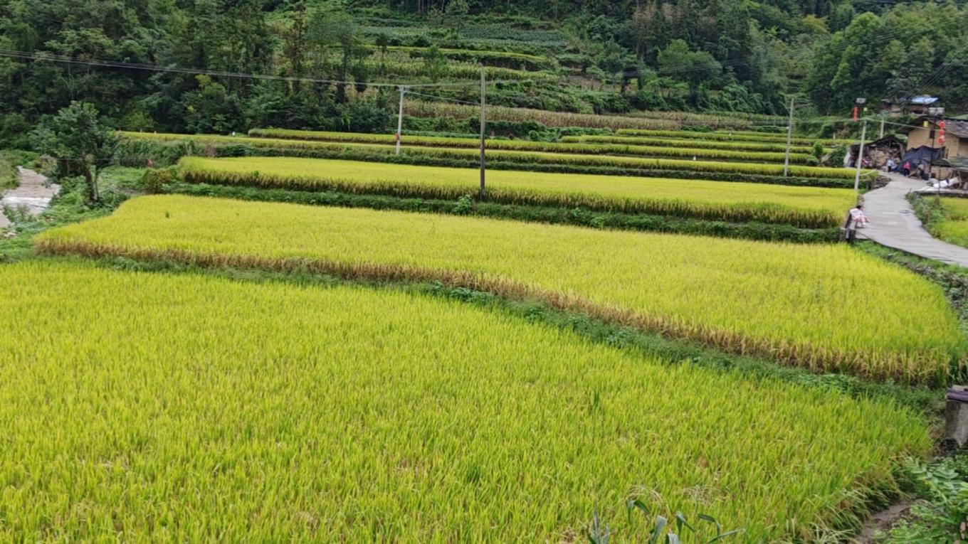 20260222210951550-91-6f7b8.jpg_scale.jpg 20260222210951550-91-6f7b8.jpg_scale.jpg