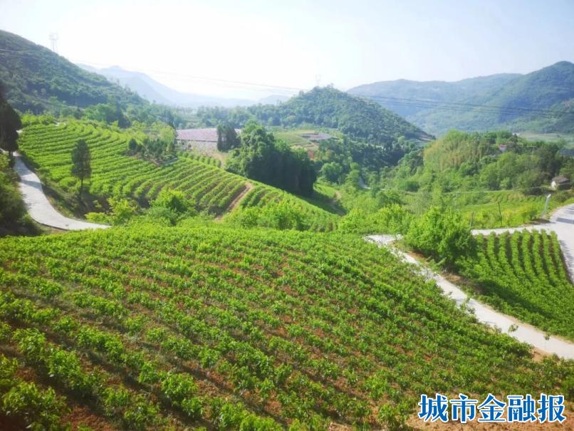 微信图片_2026-02-12_175718_292