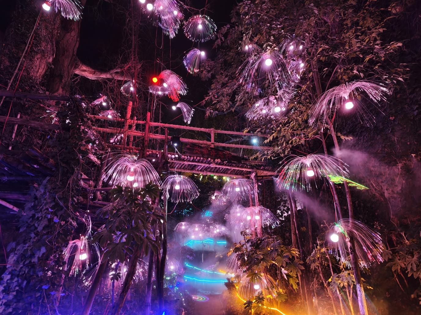 微信图片_20260218174242_34_37