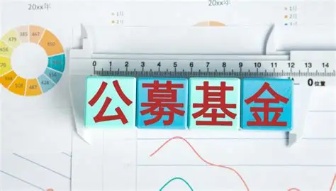 中基协：截至2022年末，我国公募基金资产净值为26.03万亿元|界面新闻