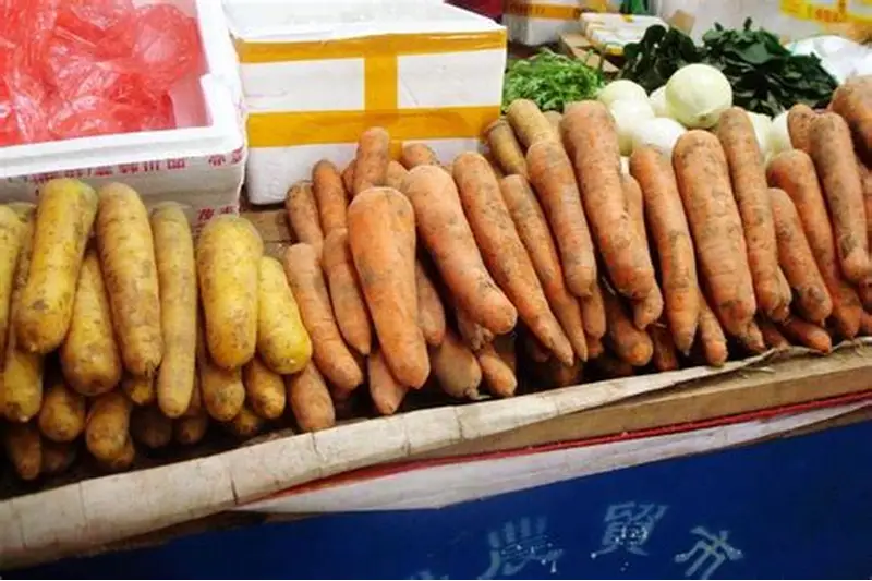 零下20多度的新疆菜市场， 这些蔬菜你们那也有吗？|恰玛古|新疆|南瓜_新浪新闻