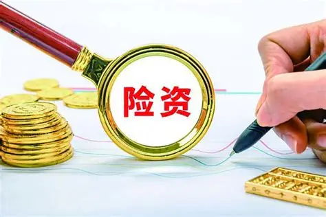 2024年险资举牌账本：一年举牌20次 红利板块成险资最爱 - 21经济网