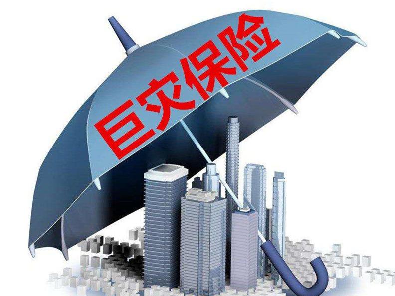 地震巨灾保险共同体的风险转移效率研究