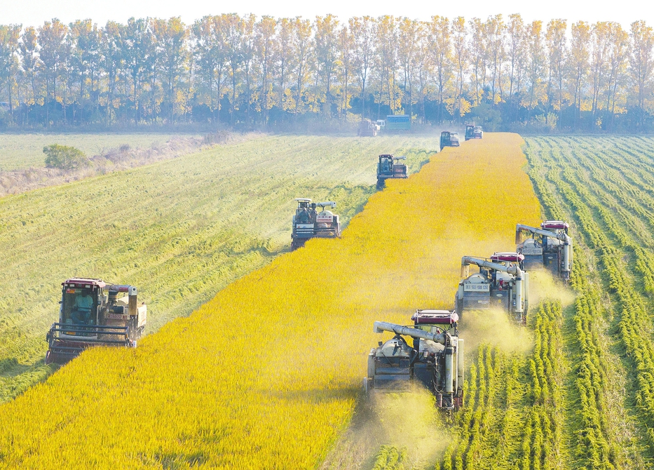 四部门“联手”十大举措推进农业保险精准投保理赔