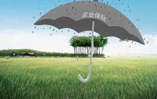 2023年农业保险条例修订【全文】 - 行政法规 - 律科网