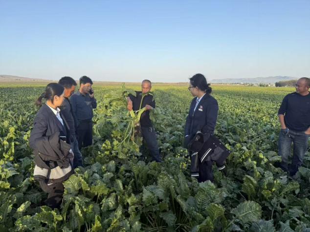 工商银行伊宁支行客户经理走进田间地头开展“甜菜贷”贷后服务（2025年9月23日摄）