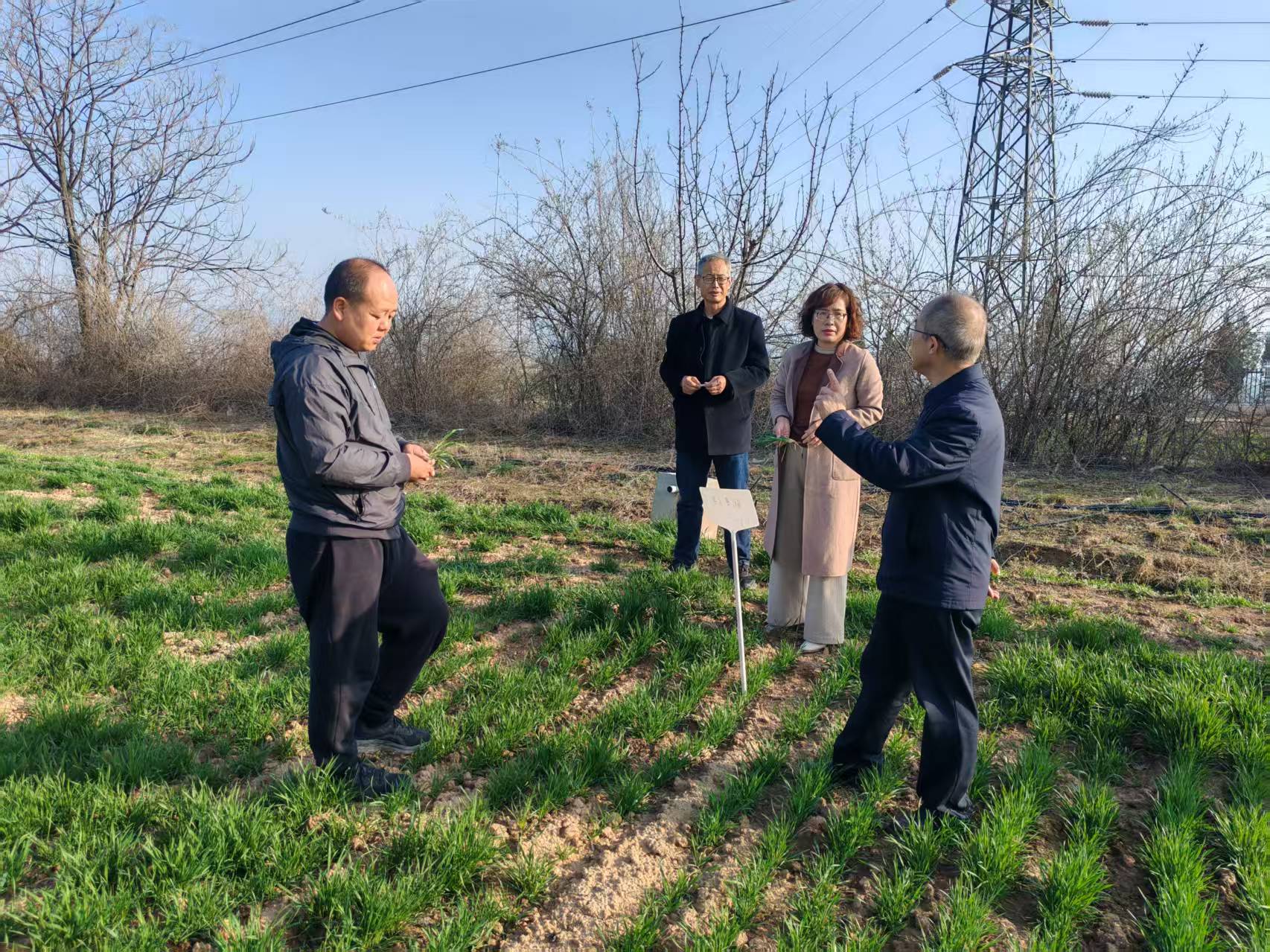 20260318094448786-66-a8fcb.jpg 20260318094448786-66-a8fcb.jpg