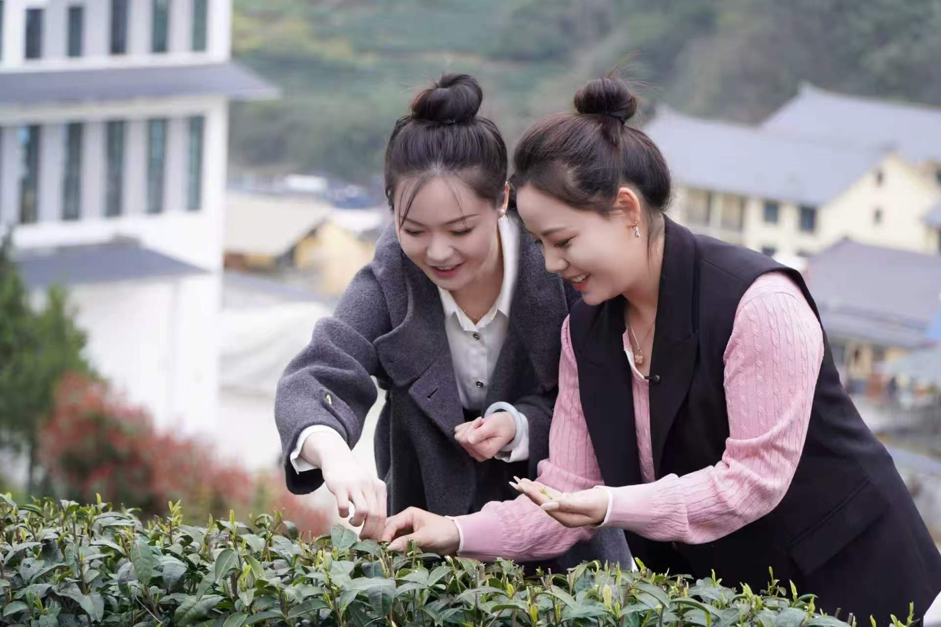 20260323112104093-32-14da6.jpg 20260323112104093-32-14da6.jpg