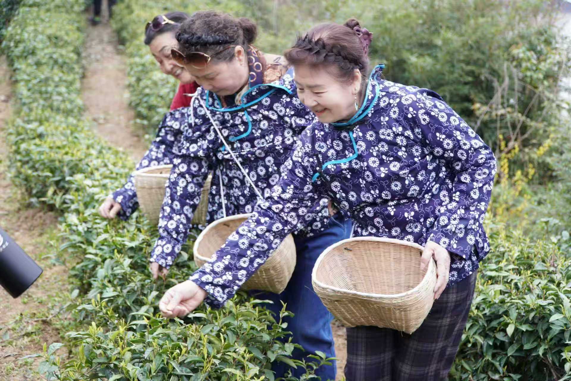 20260323112126263-77-70845.jpg 20260323112126263-77-70845.jpg