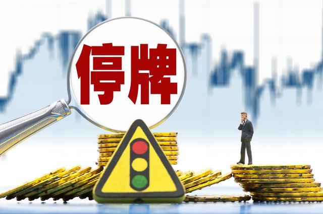 上市公司公告今起停牌，央企电力巨头拟筹划与公司有关的重组_凤凰网