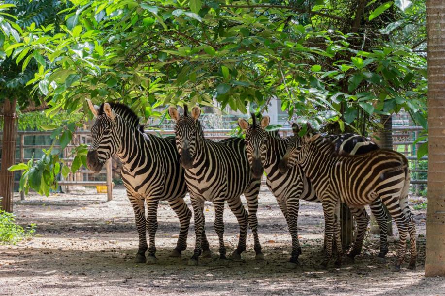 1mhtVaFlRfvEbyaltyuHG0