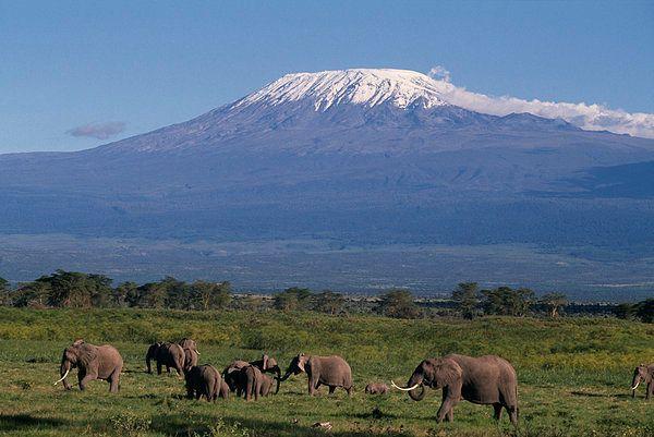 这篇文章告诉你,为什么肯尼亚被无数人列为此生必去的旅行地!