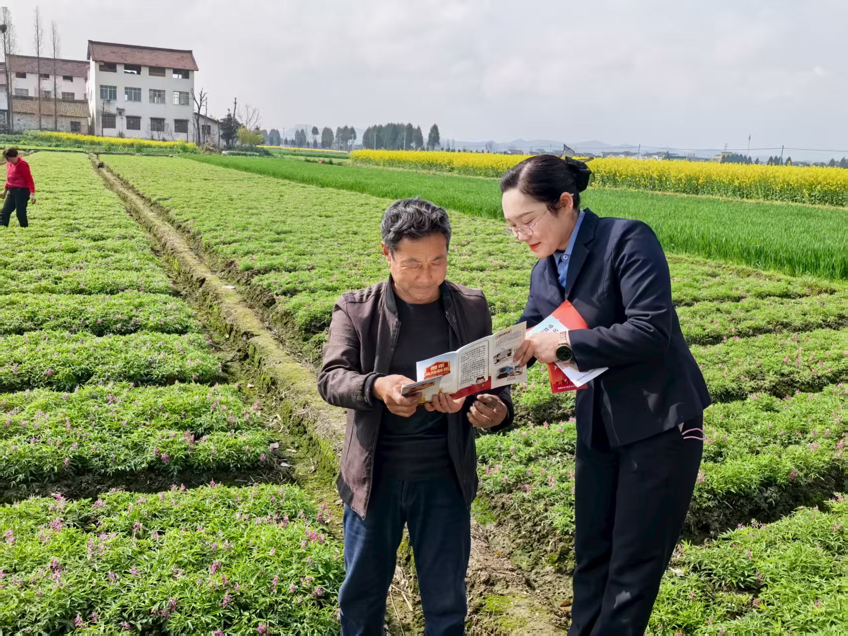 20260326135545005-43-5f54e.jpg 20260326135545005-43-5f54e.jpg