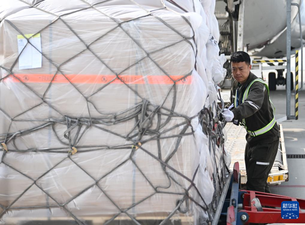 <p>3月31日，工作人员在郑州新郑国际机场为一架卢森堡货航货机卸货。</p><p>近年来，河南郑州在积极打造郑州—卢森堡“空中丝绸之路”的同时，积极拓展全球货运航线。目前，郑州机场国际货运航线已覆盖30余个国家，国际航空货运枢纽能级逐步提升。2025年，郑州机场年货邮吞吐量首次突破100万吨，跻身全球航空货运“百万吨级俱乐部”。</p><p>新华社记者 李嘉南 摄</p>