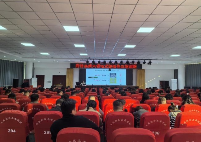 强化党建引领 赋能基层治理——府谷县2025年社会工作综述