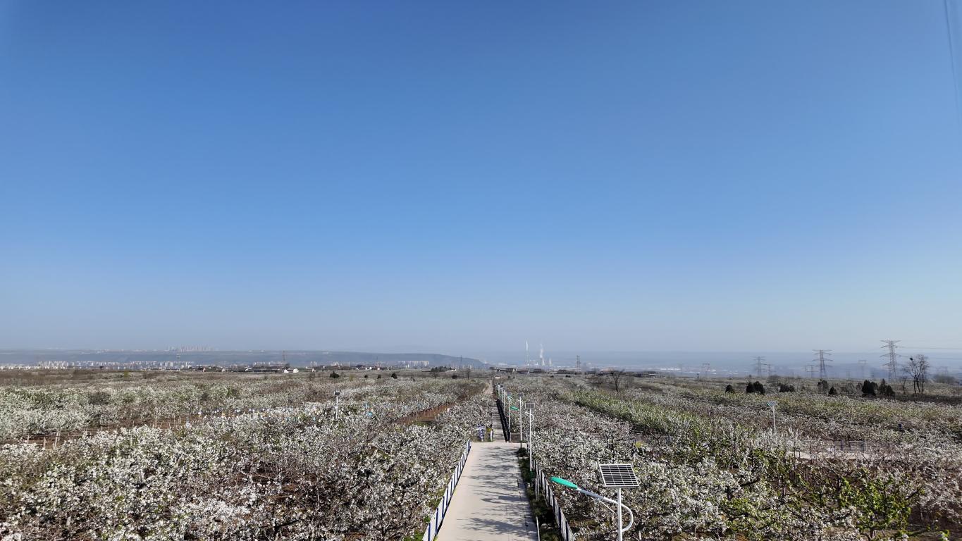 31f61a6e9bc5011f20df3b7cb28fed2a