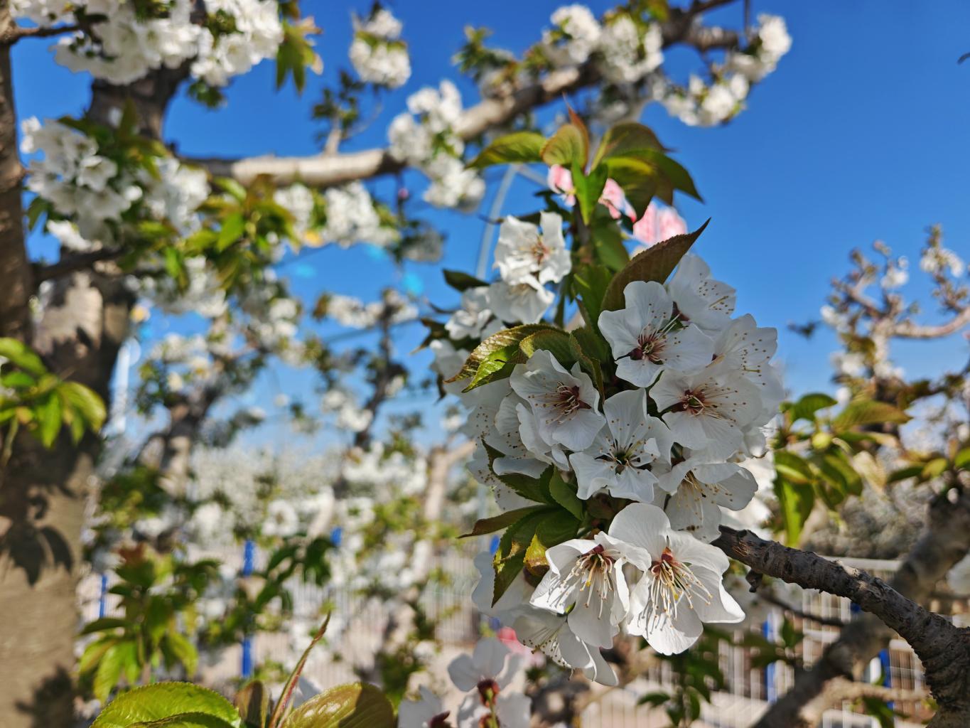 4b817e3e5a81ff6b3b1edfb88646a884