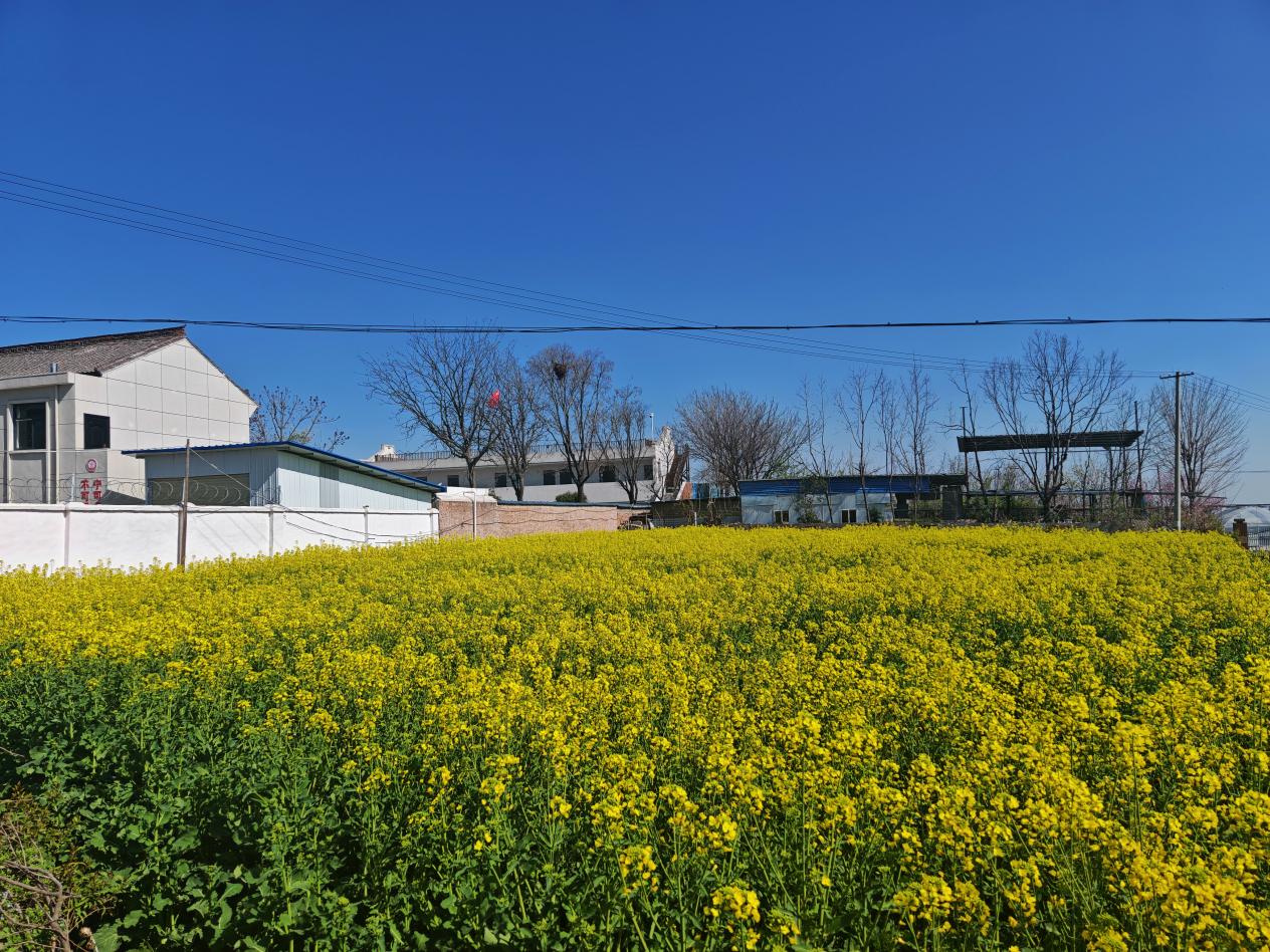 d0dfe78b6dc97efc058fab0c989e42b6