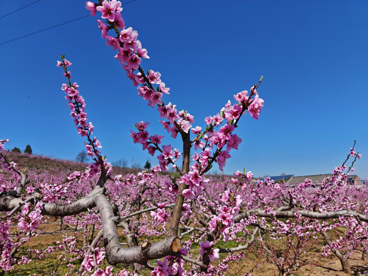 0615a1b5d851e58f17c56bc949d72aee